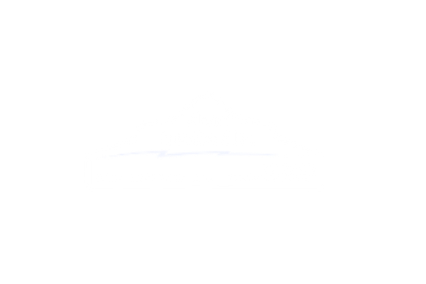 21 Grizzly Broadband logo